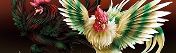 Rooster Derby