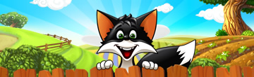 Flying Fox